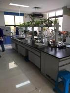 c299e5cbf26b6a8329e40d1b799ffab